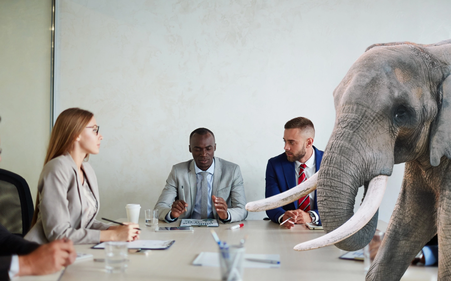 5 conscious leadership academy
