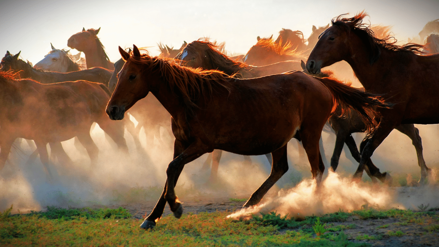 Integrate pic 1 pexels murat sahin 1901382 4543462