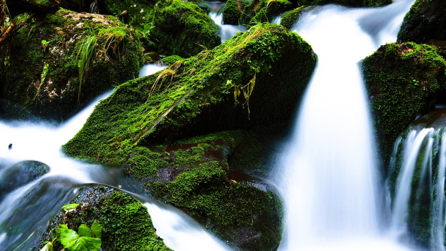 river with obstacles